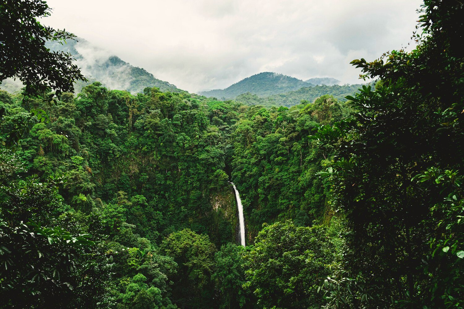 Costa Rican cloud forest with misty mountains and lush canopy