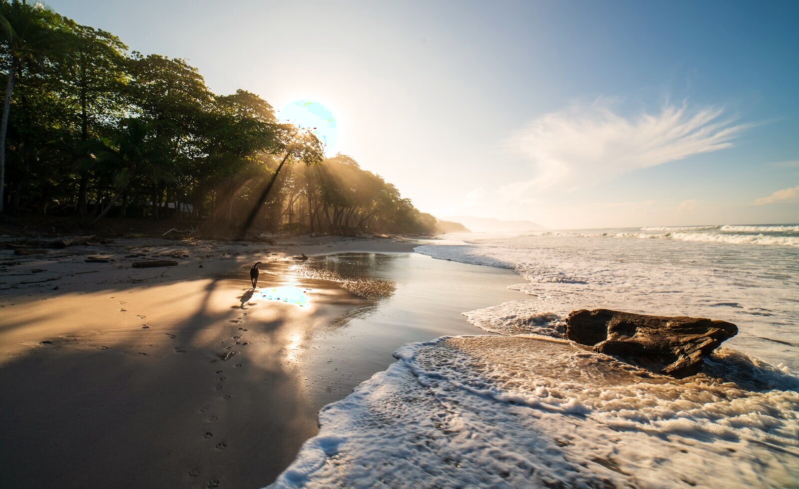 A golden-sand beach on Costa Rica's Pacific coast at Santa Teresa